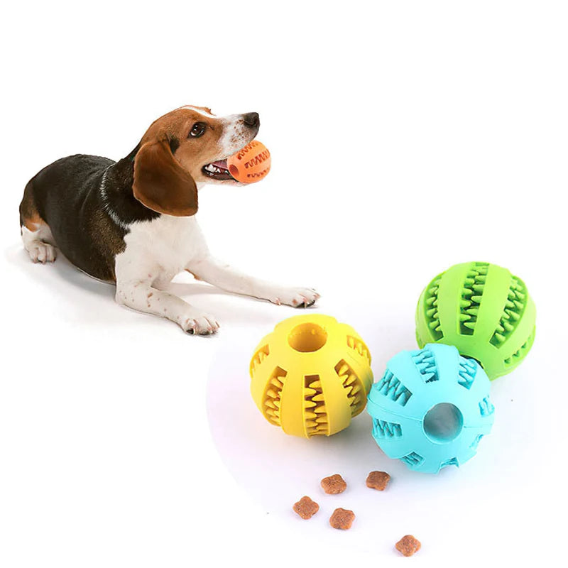 Interactive Chew Toy for Dogs